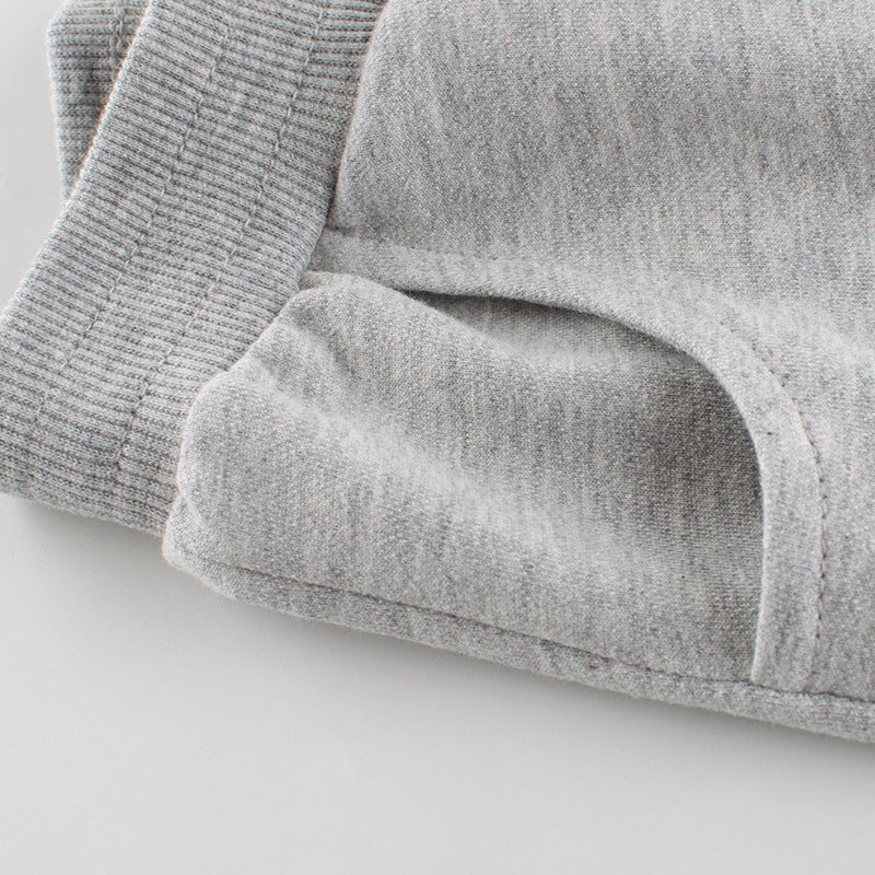 Pantalones Cortos Gris con Dinosaurio al Lado para Niños de 1 a 9 Años en Verano