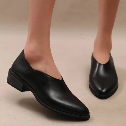 Pointed Toe Flat Wedge Shoes